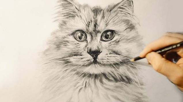 Як намалювати котика простим олівцем (7 малюнків)