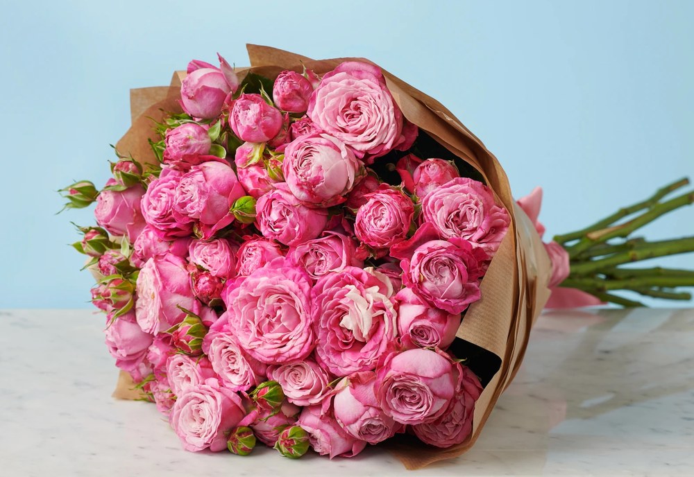 Пионовидные розы – почему они стали фаворитами флористики