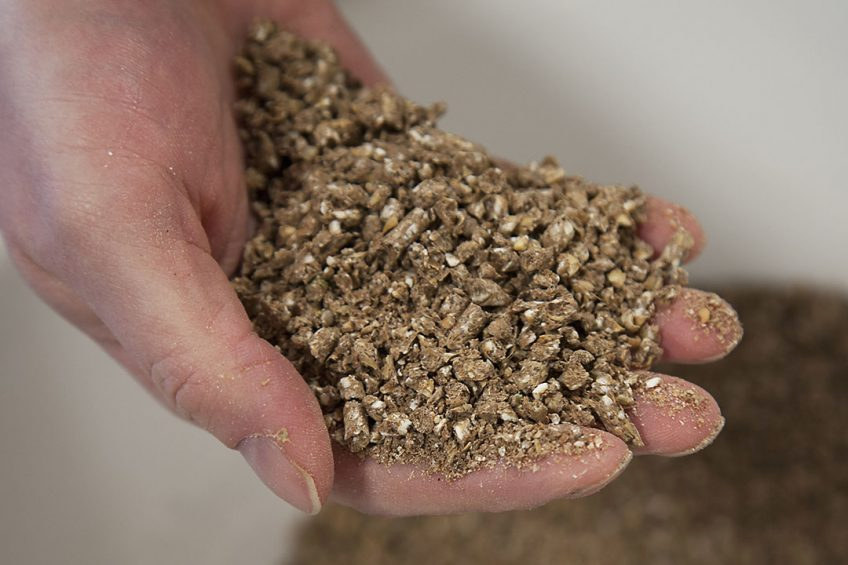 Микотоксины в кормах и продуктах: особенности мониторинга и защиты