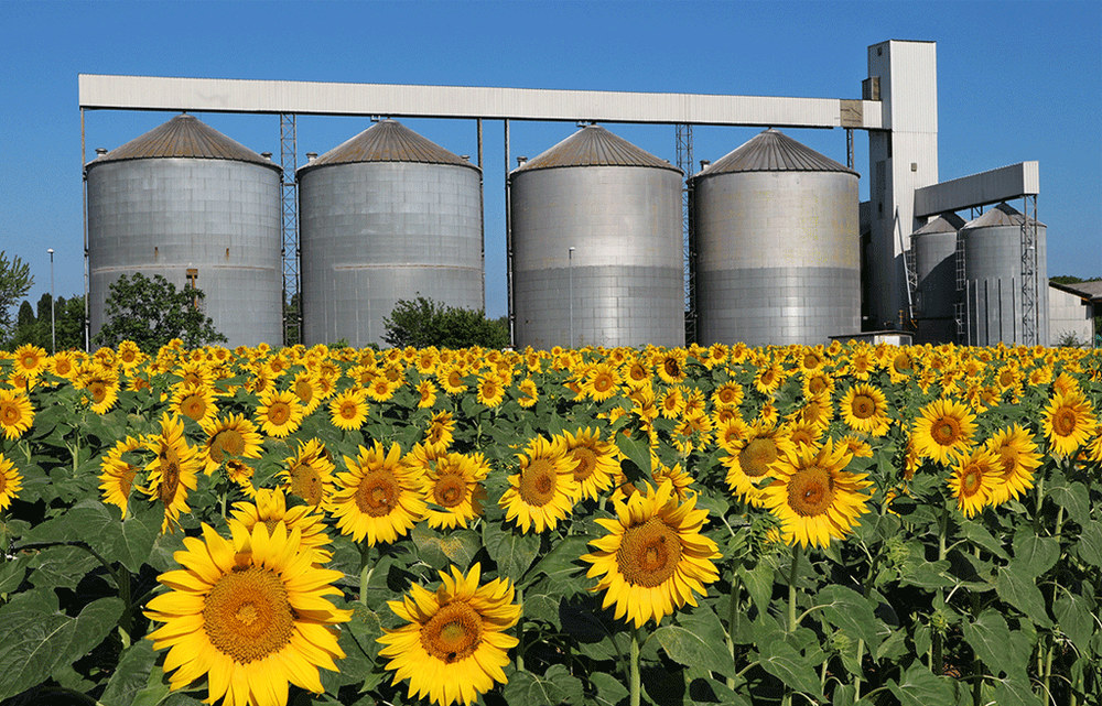 Термоштанги электронные для контроля хранения подсолнечника