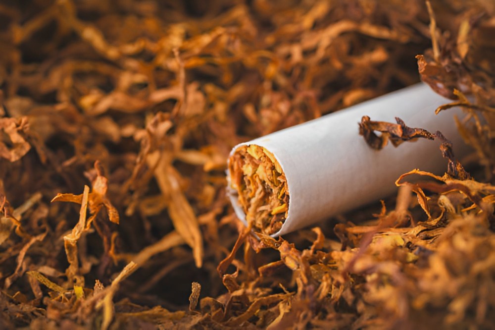 Как хранить табак для гильз, чтобы он не терял свойства